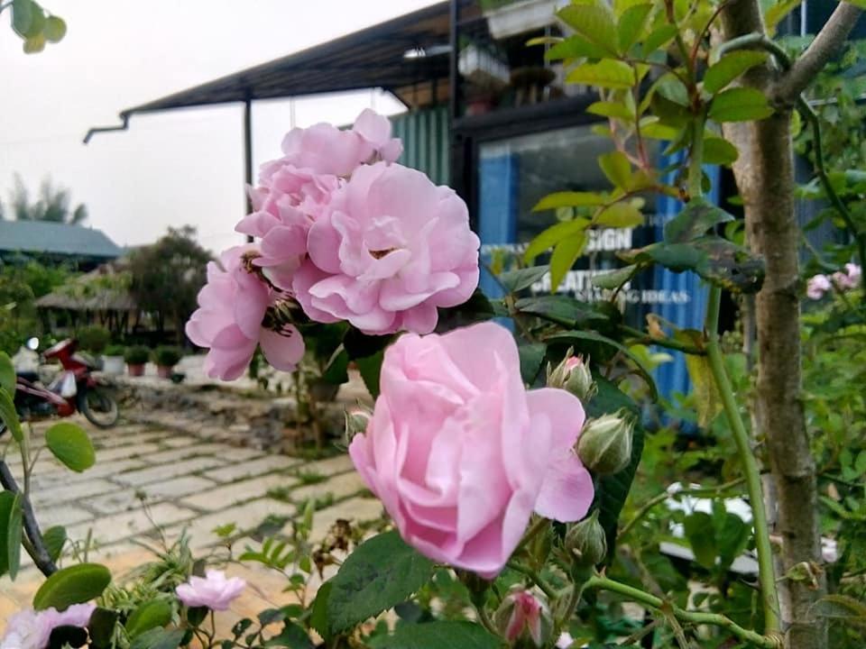 Savana Moc Chau B&B 외부 사진