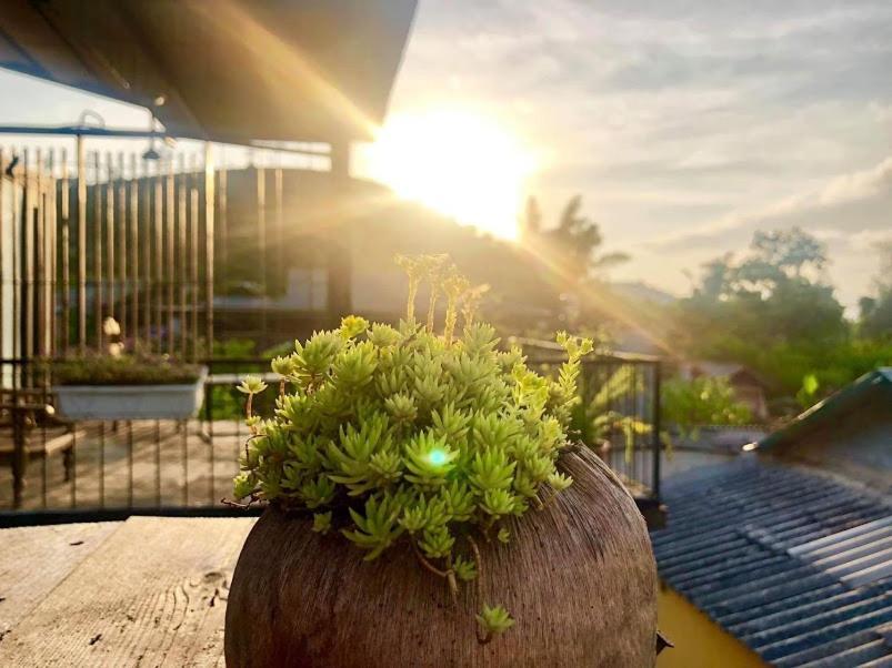 Savana Moc Chau B&B 외부 사진